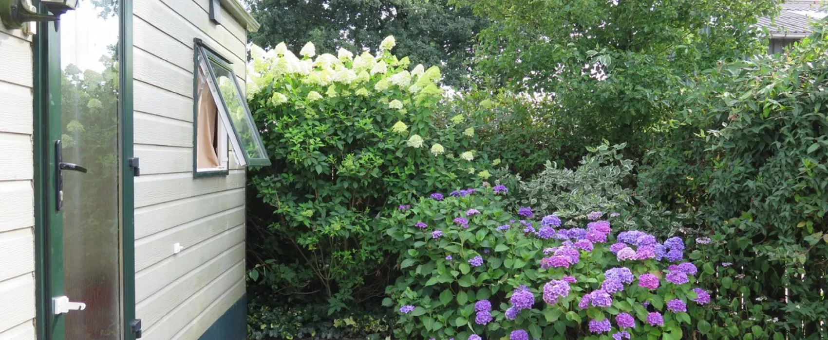 Kampeerboederij De Runsvoort