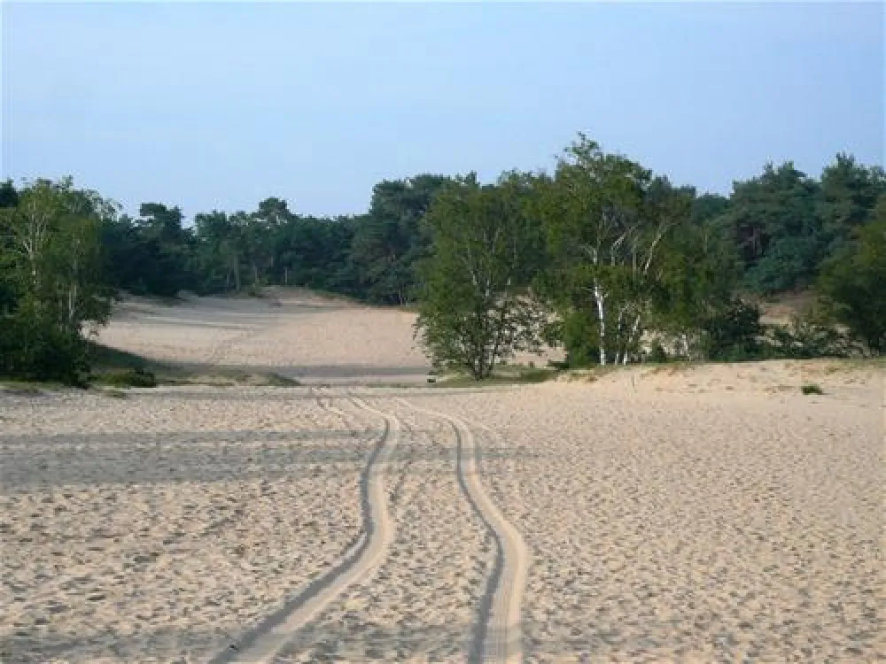 Kampeerboederij De Runsvoort