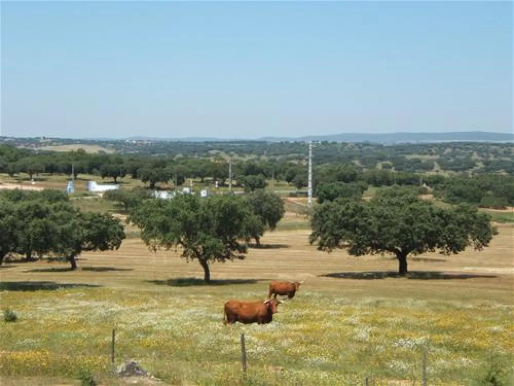 Camping Alentejo