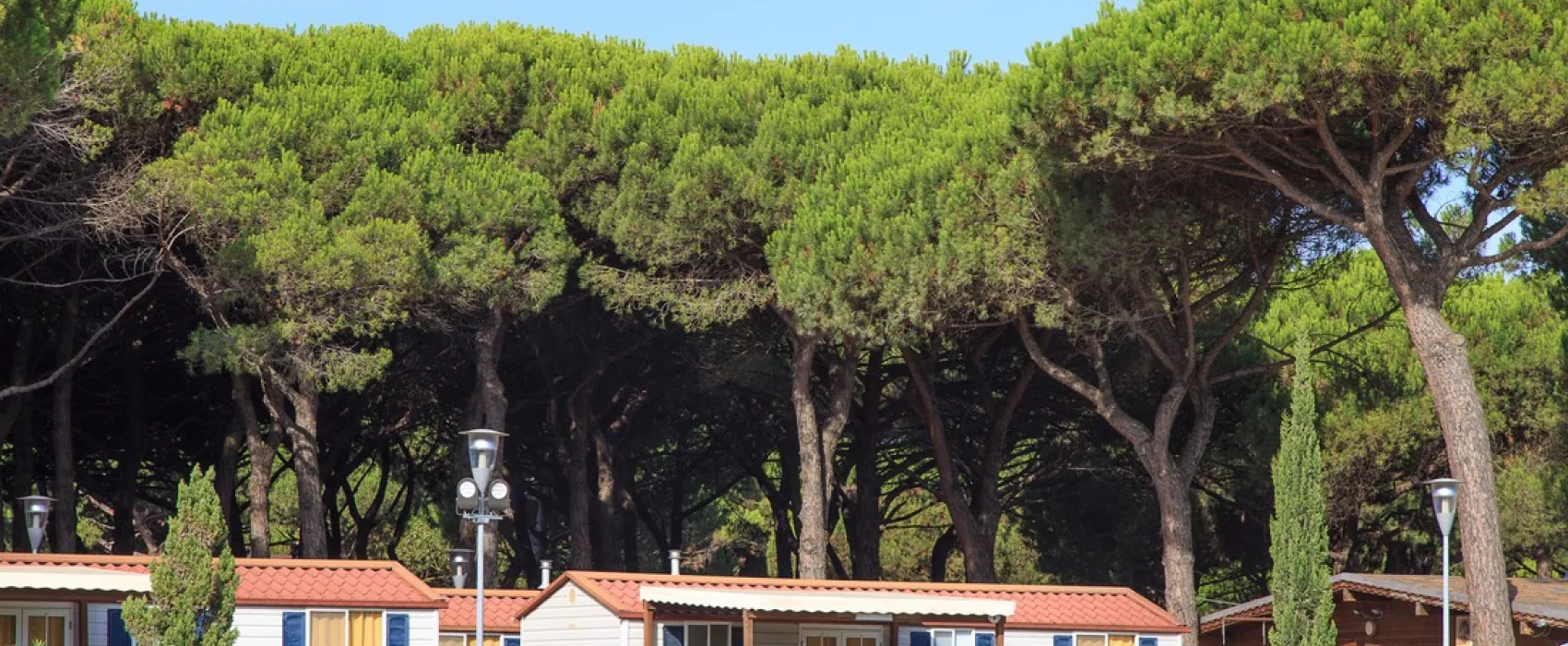 Pineta sul Mare Camping Village