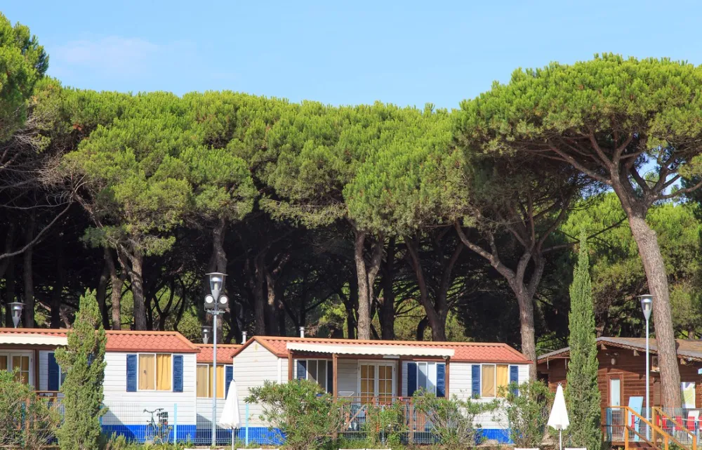 Pineta sul Mare Camping Village