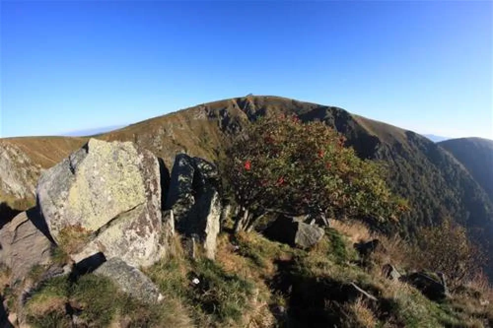 Camping Le Schlossberg  