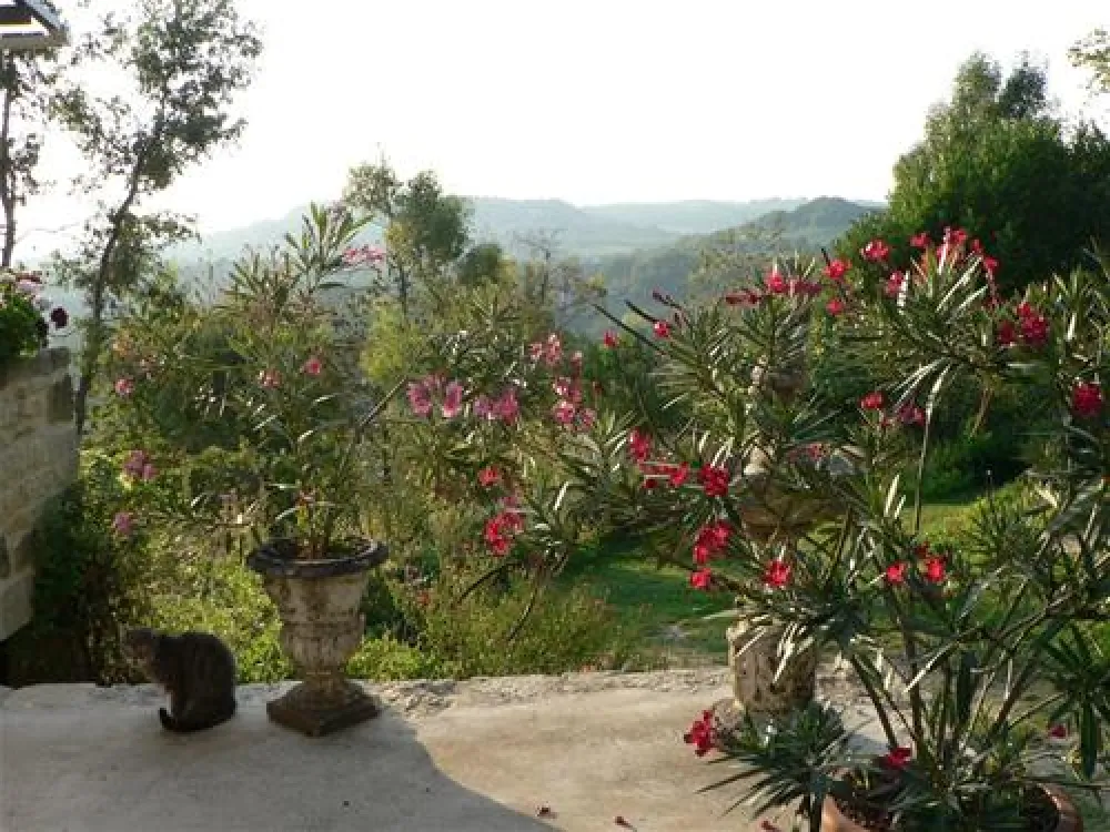 Hermitage Rochas Couchaud  