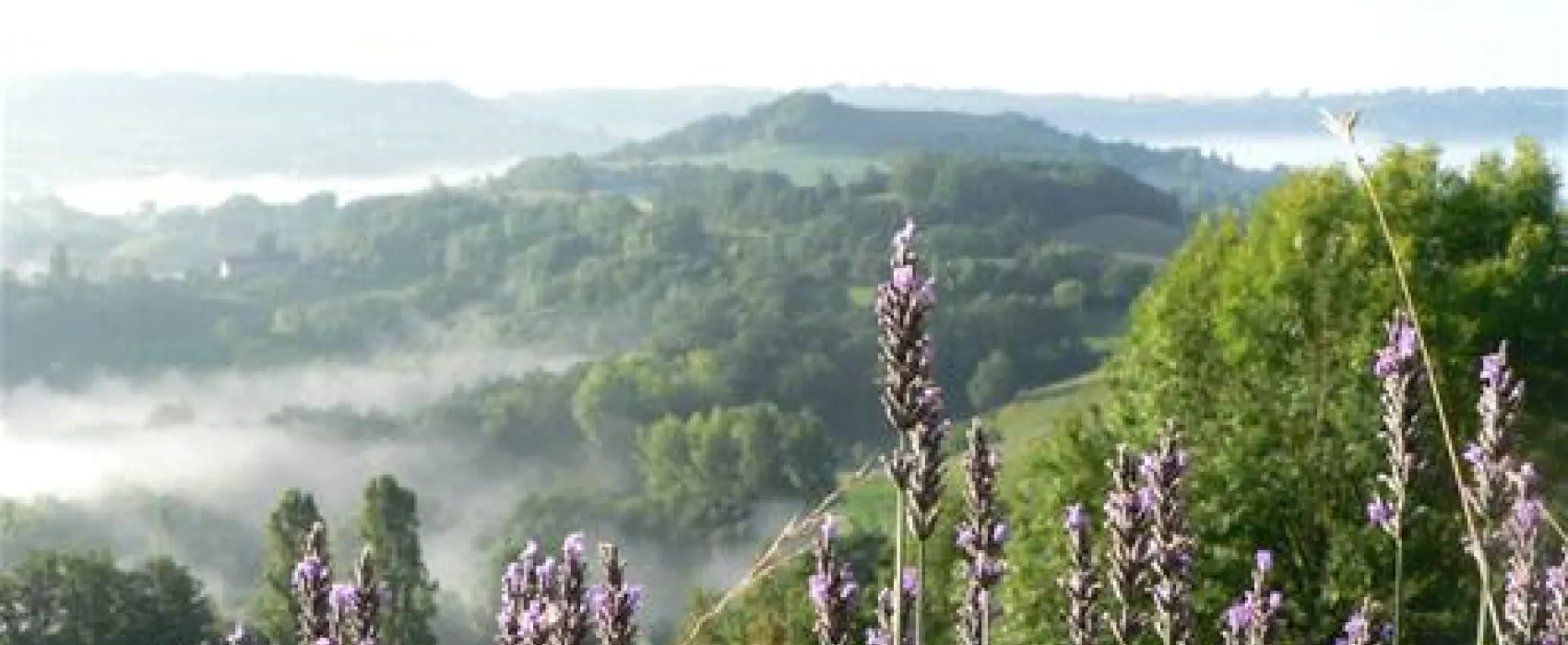 Hermitage Rochas Couchaud  