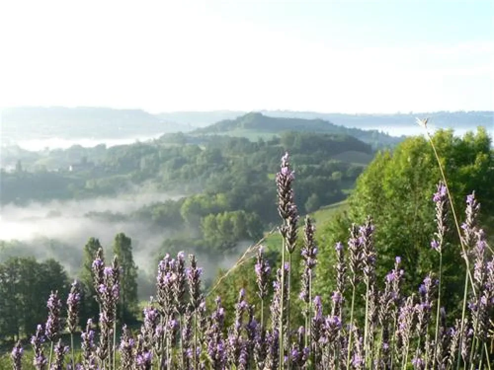 Hermitage Rochas Couchaud  