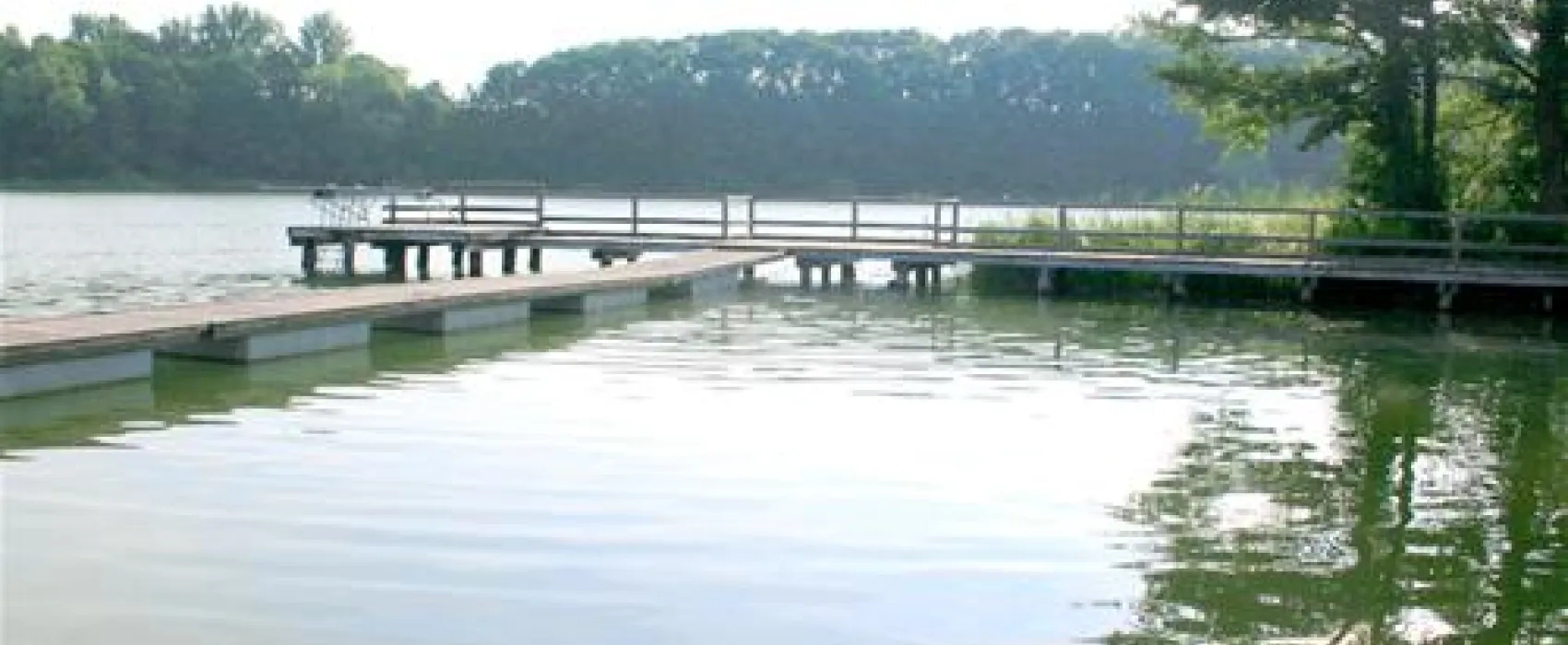 Behlendorfer Campingfreunde e.V.