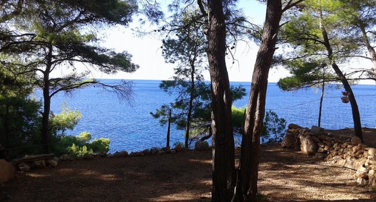Camp Lili photo 5
