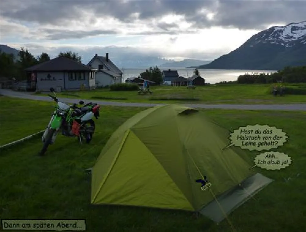 Arctic FjordCamp