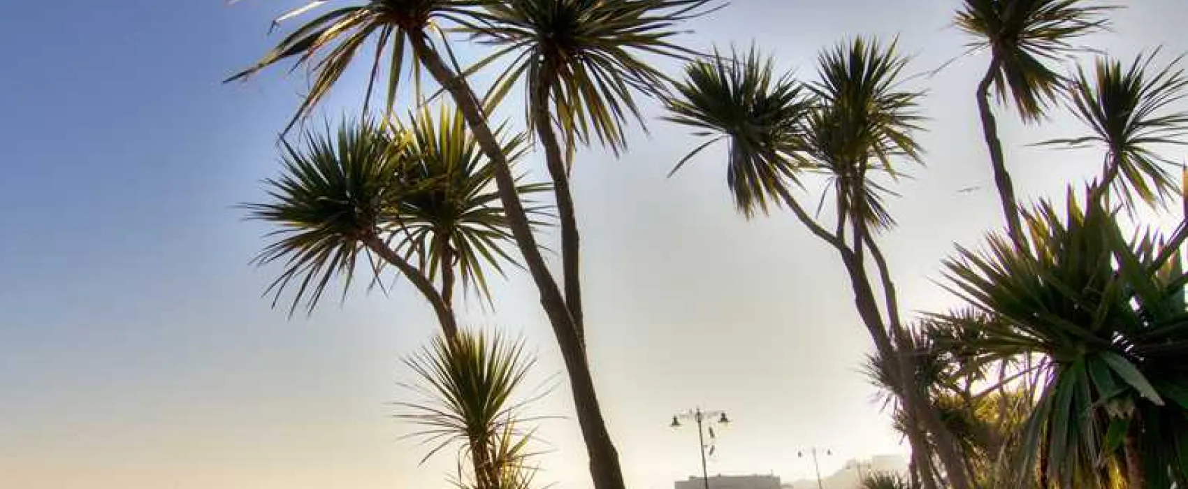 Old Barn Touring Park