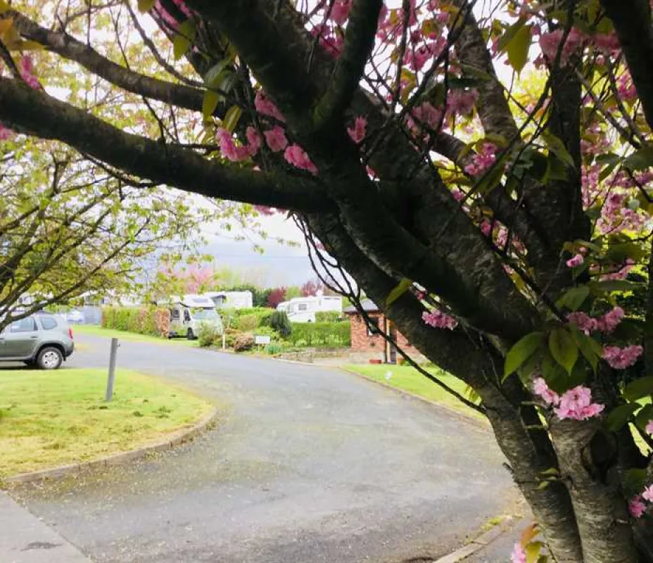 Old Barn Touring Park