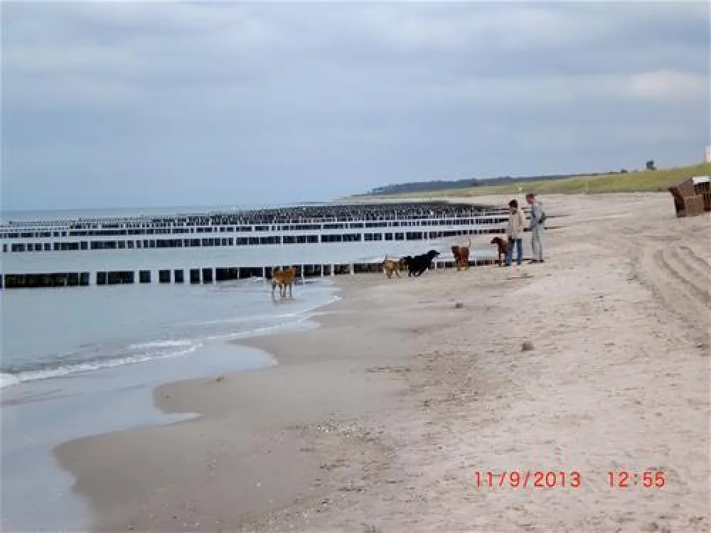 Camping- und Ferienpark Markgrafenheide