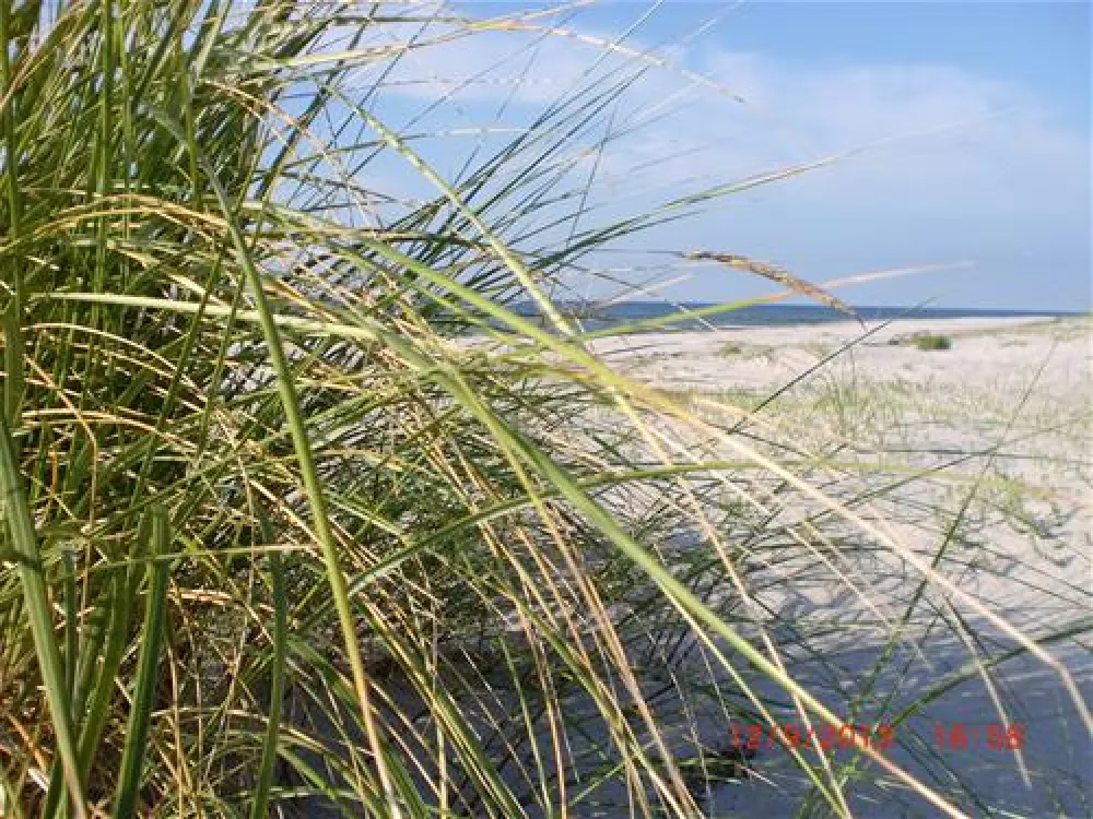 Camping- und Ferienpark Markgrafenheide