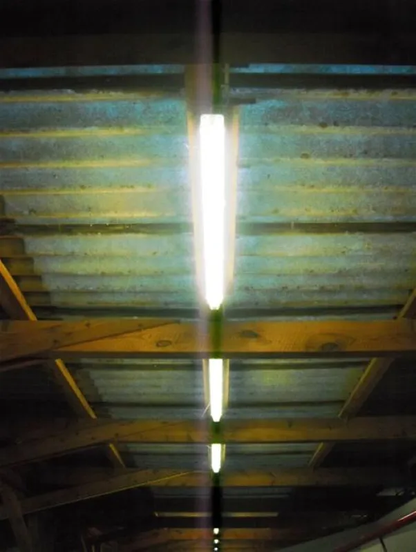 Camping- und Ferienpark Markgrafenheide