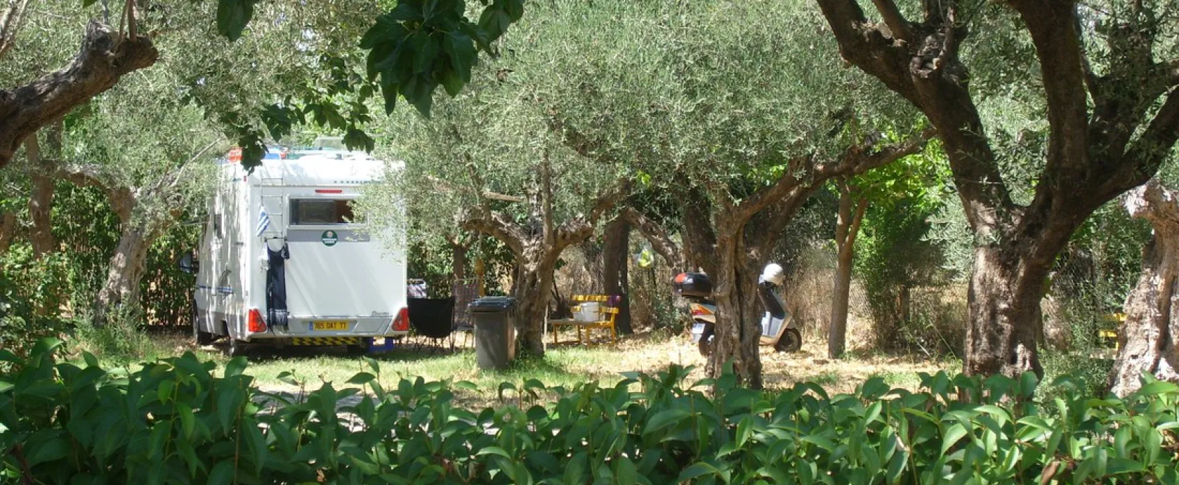 Campsite Castle View