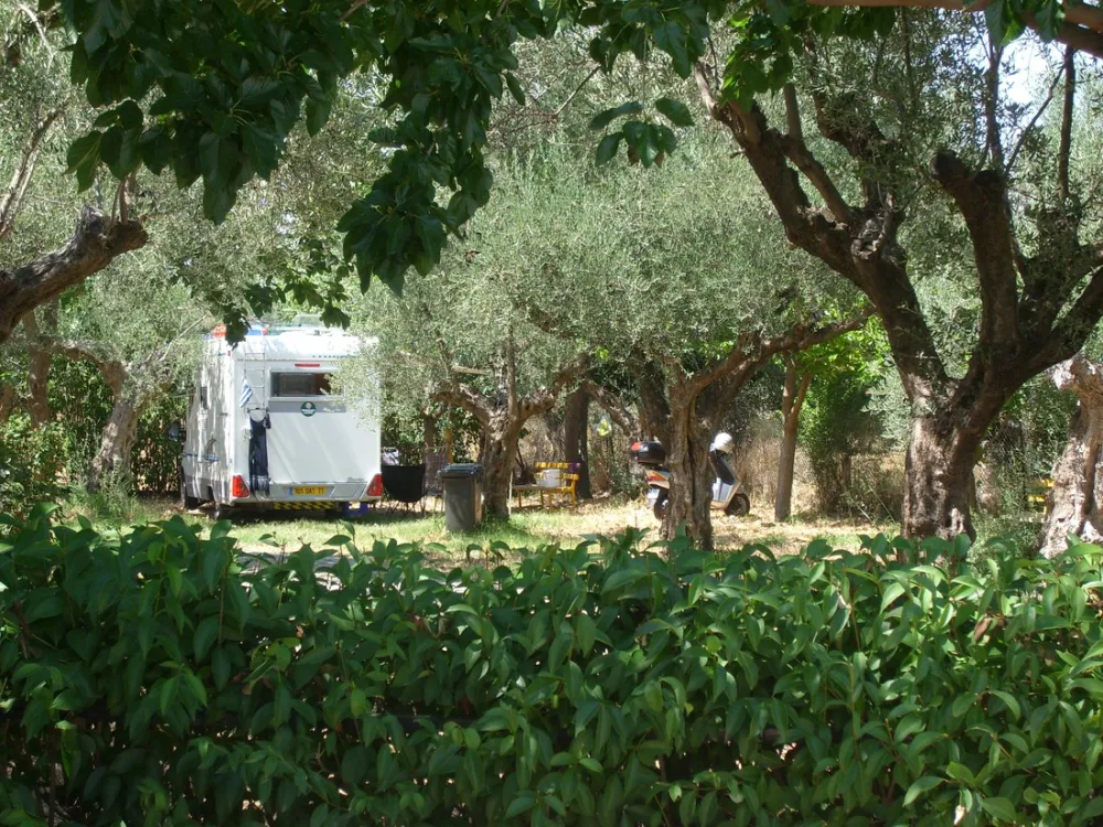Campsite Castle View