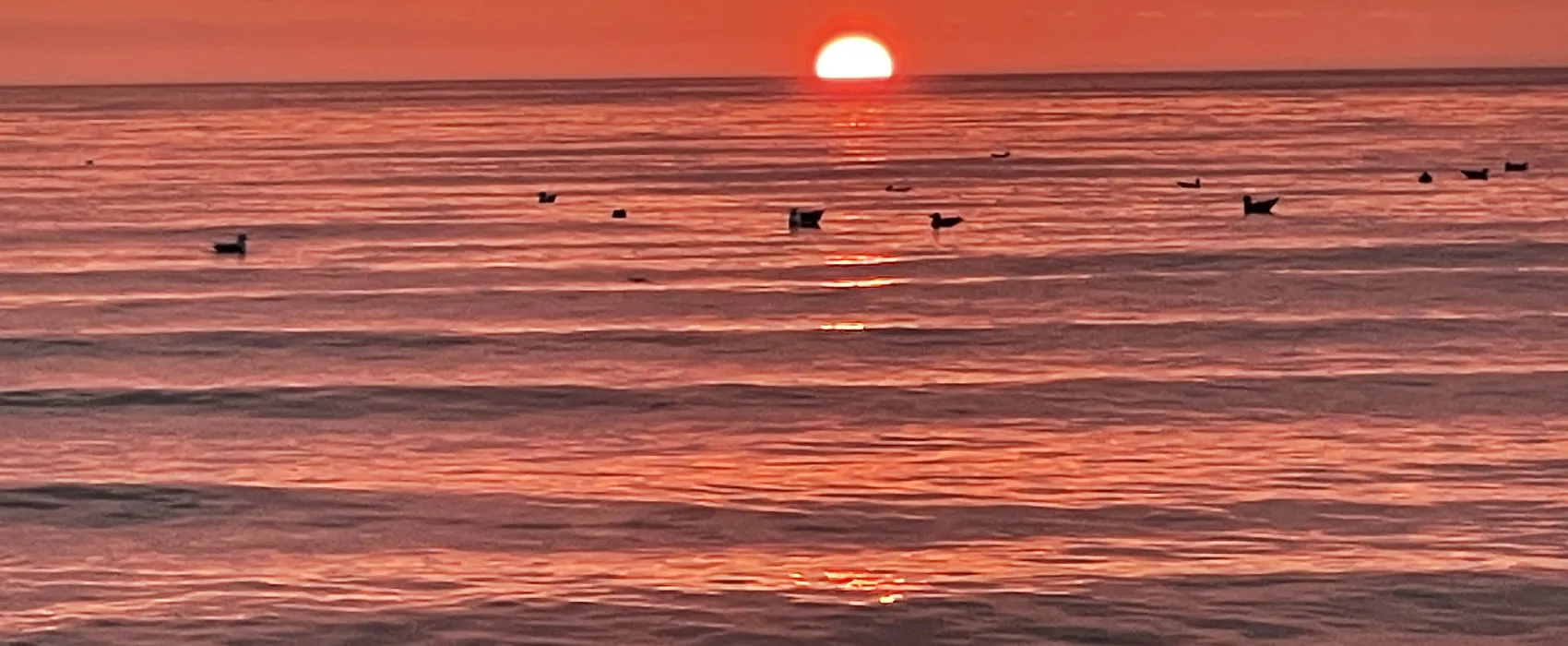 North Beach Tourist Caravan & Motorhome Park