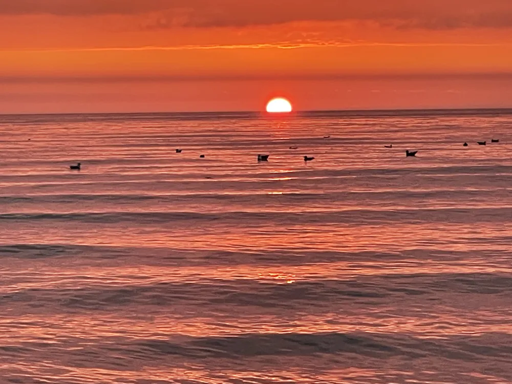 North Beach Tourist Caravan & Motorhome Park