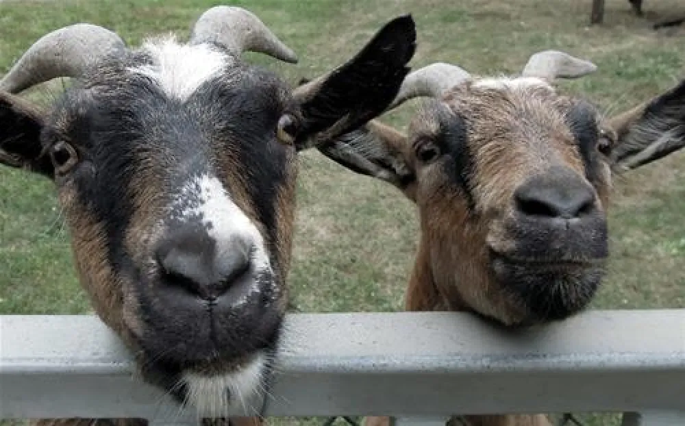 Camping Main-Spessart-Park