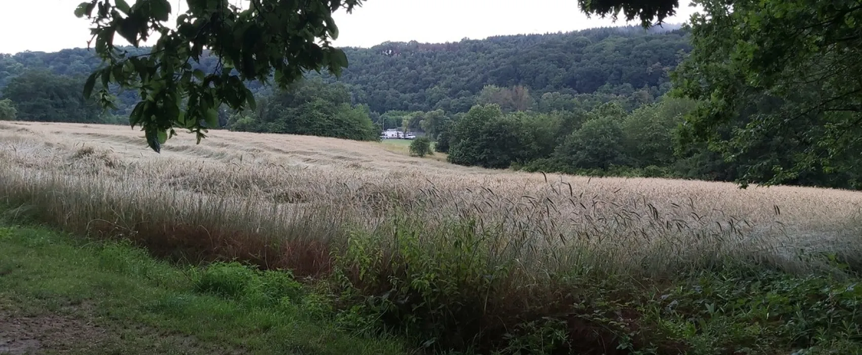 Camping Main-Spessart-Park