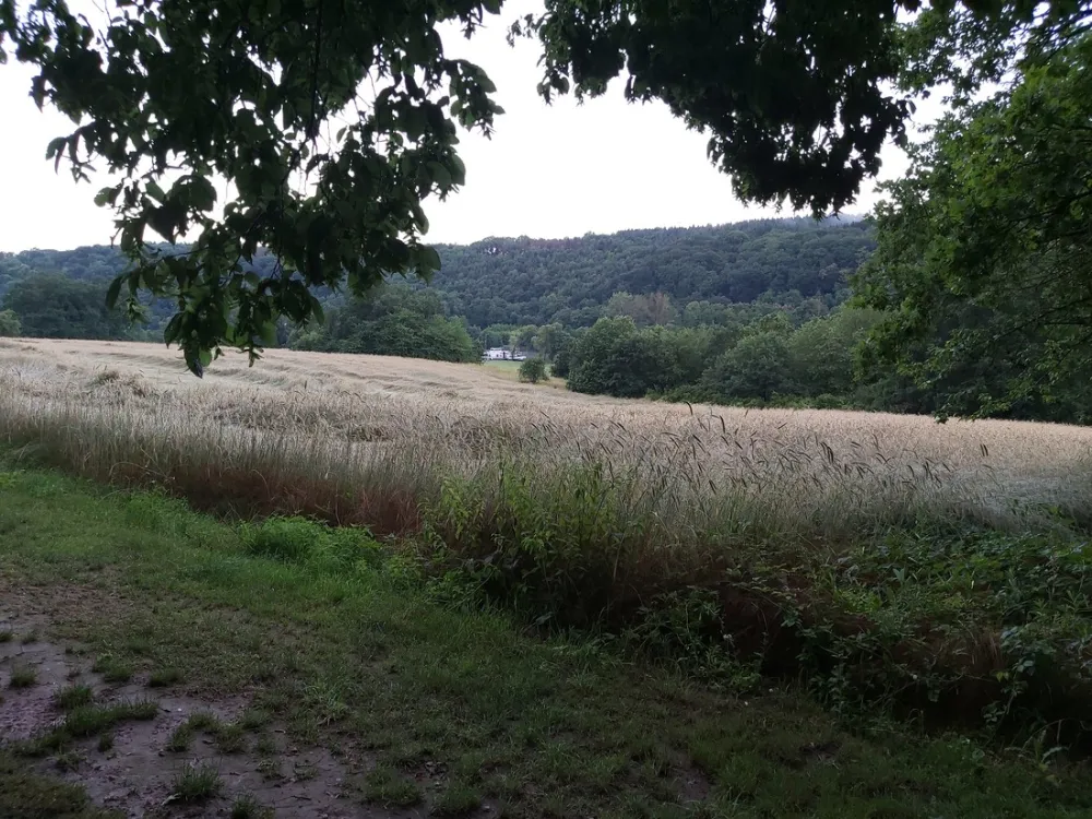 Camping Main-Spessart-Park