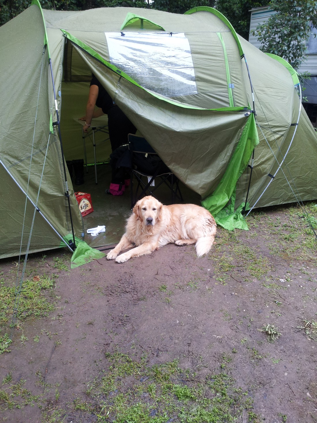 Camping le Rancho - Photo 2