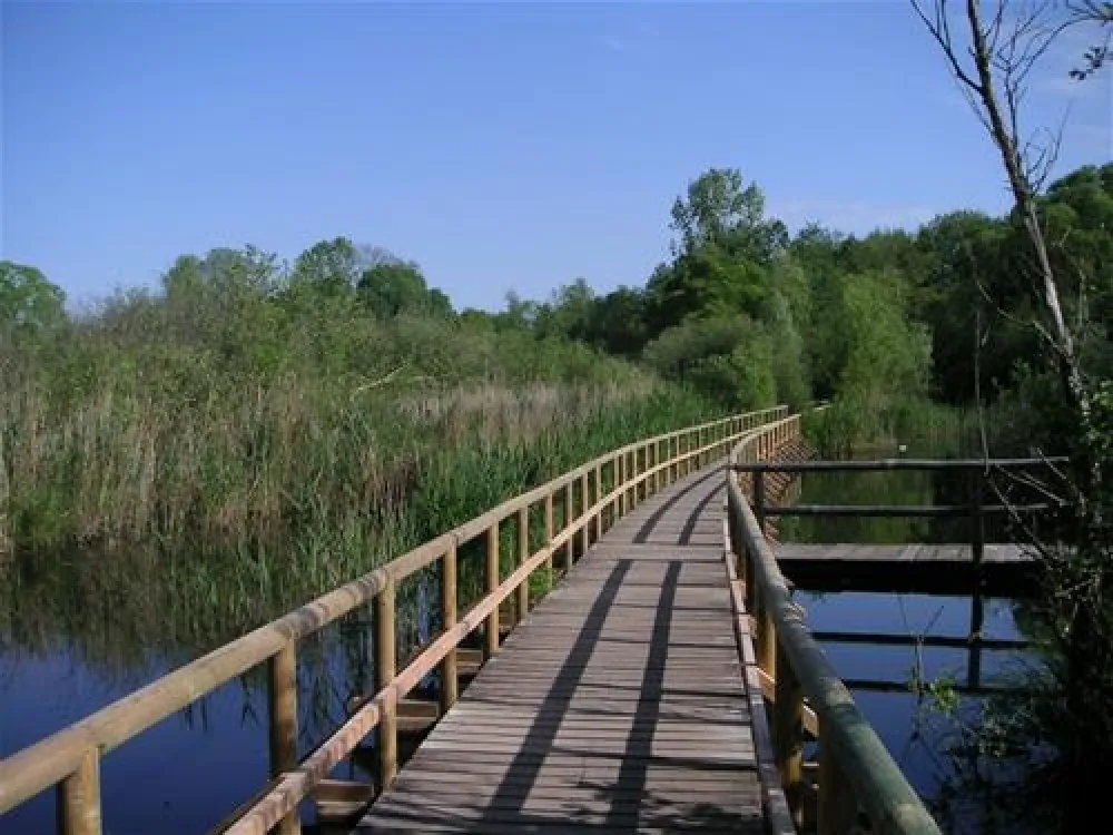 Camping- und Wohnmobilpark "Kamerun"