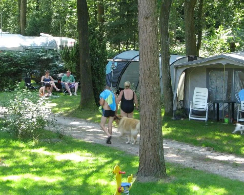 Camping Klein Zwitserland