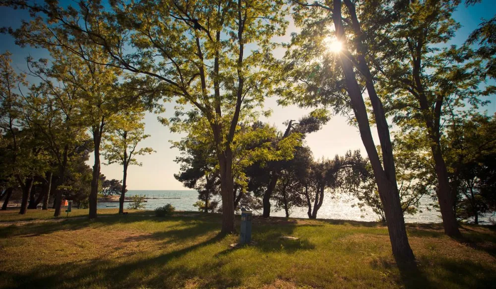 CampingIN Pineta Umag