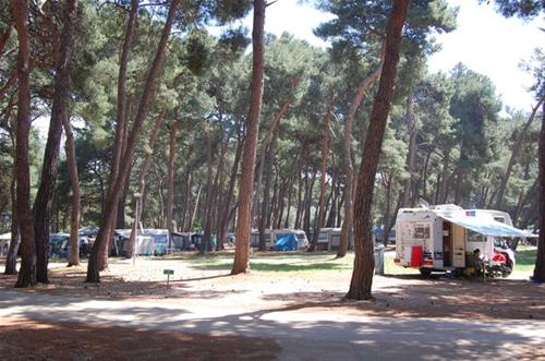 CampingIN Pineta Umag photo 5