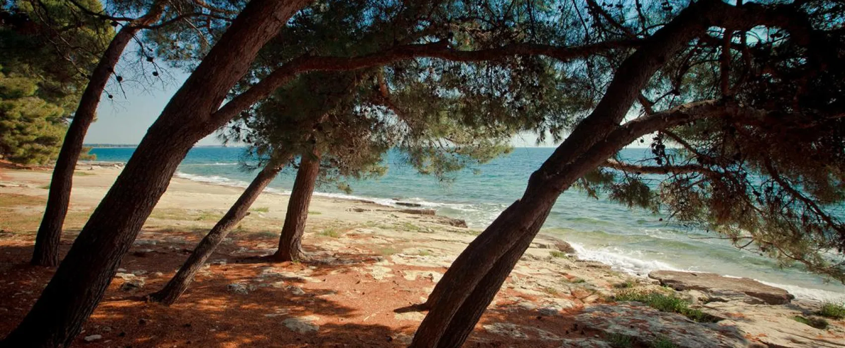 CampingIN Pineta Umag