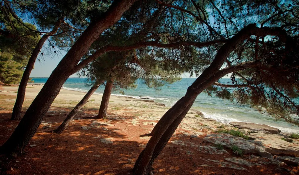 CampingIN Pineta Umag