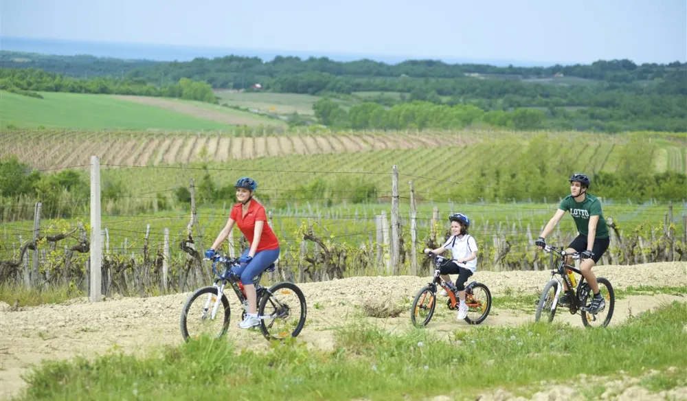 CampingIN Pineta Umag