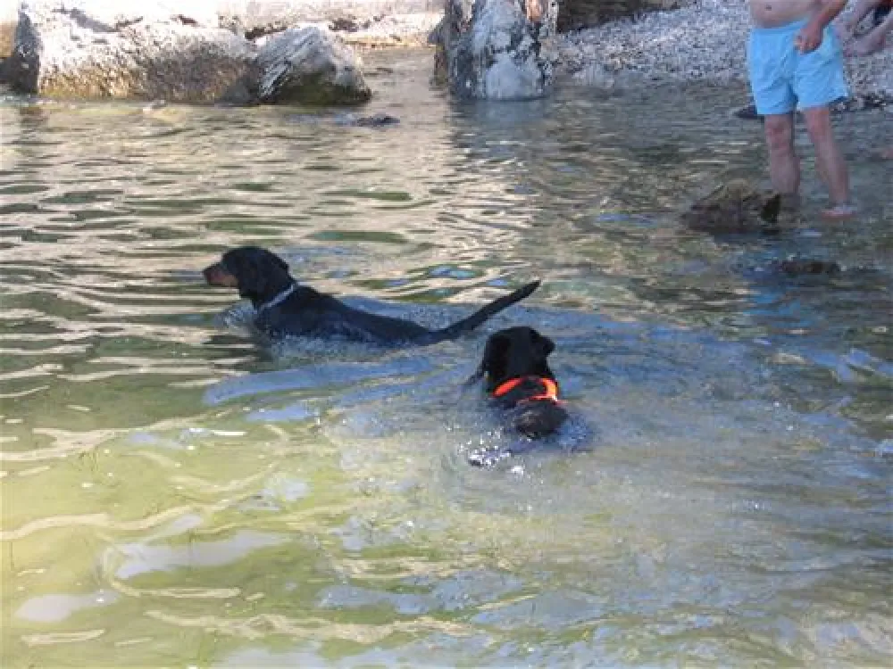 CampingIN Pineta Umag