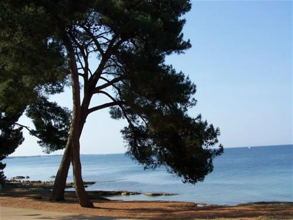 CampingIN Pineta Umag