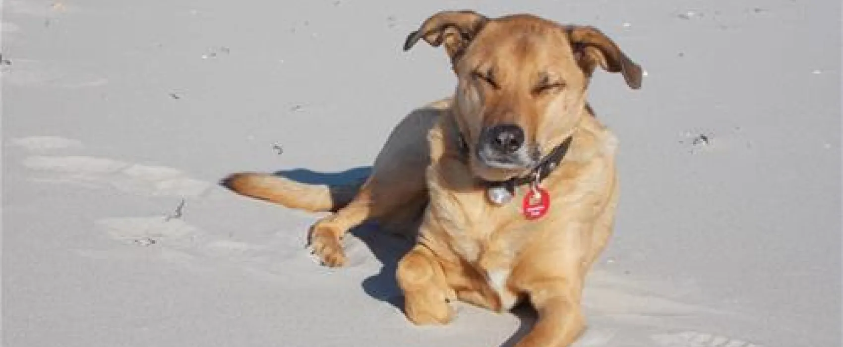 Camping am Freesenbruch