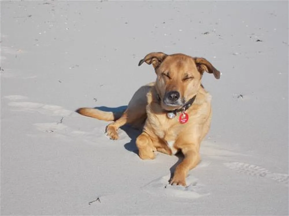 Camping am Freesenbruch