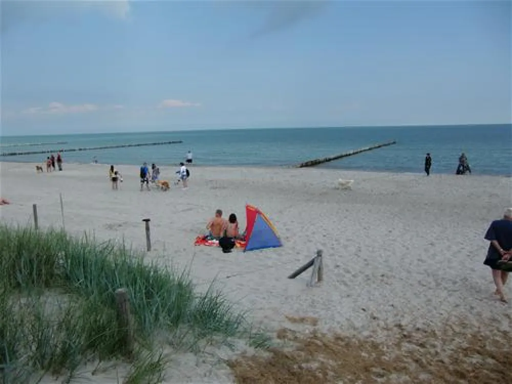 Camping am Freesenbruch