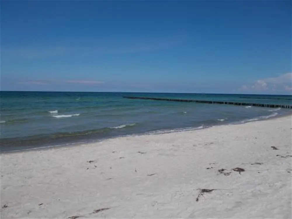 Camping am Freesenbruch