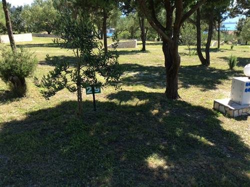 Camp Lupis - Photo 2