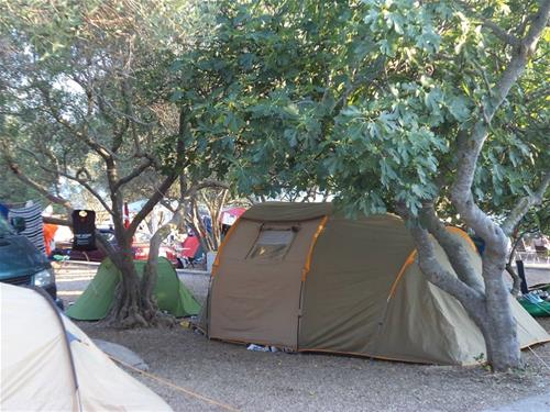 Camp Lupis photo 5