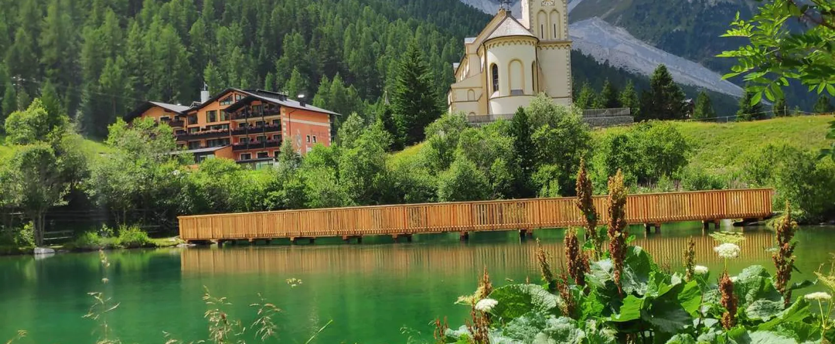 Alpina Mountain Camping