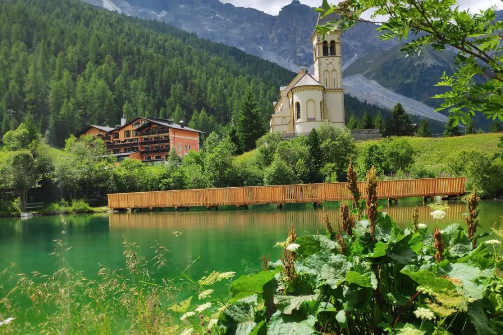 Alpina Mountain Camping