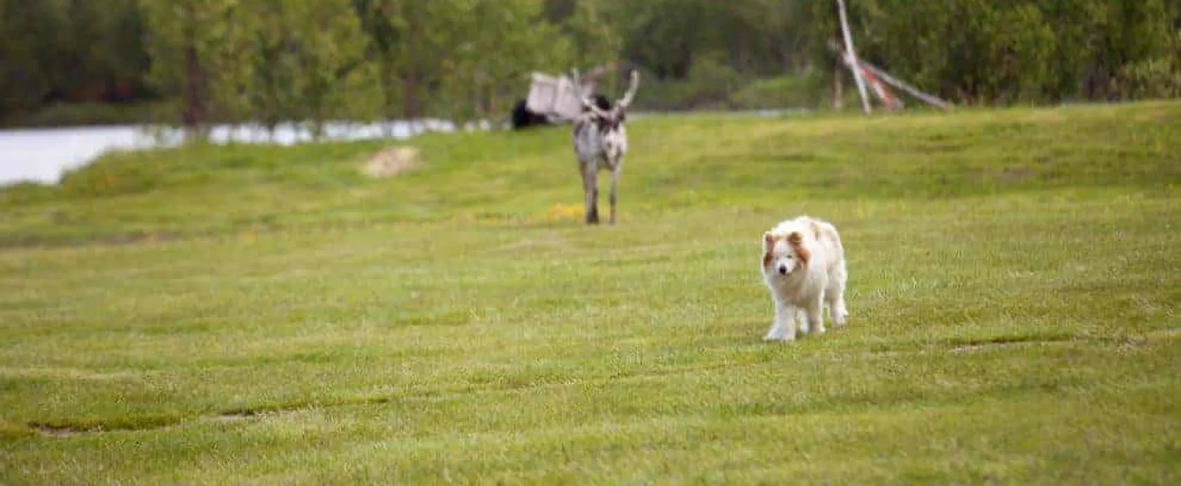 Adolfströms Camping