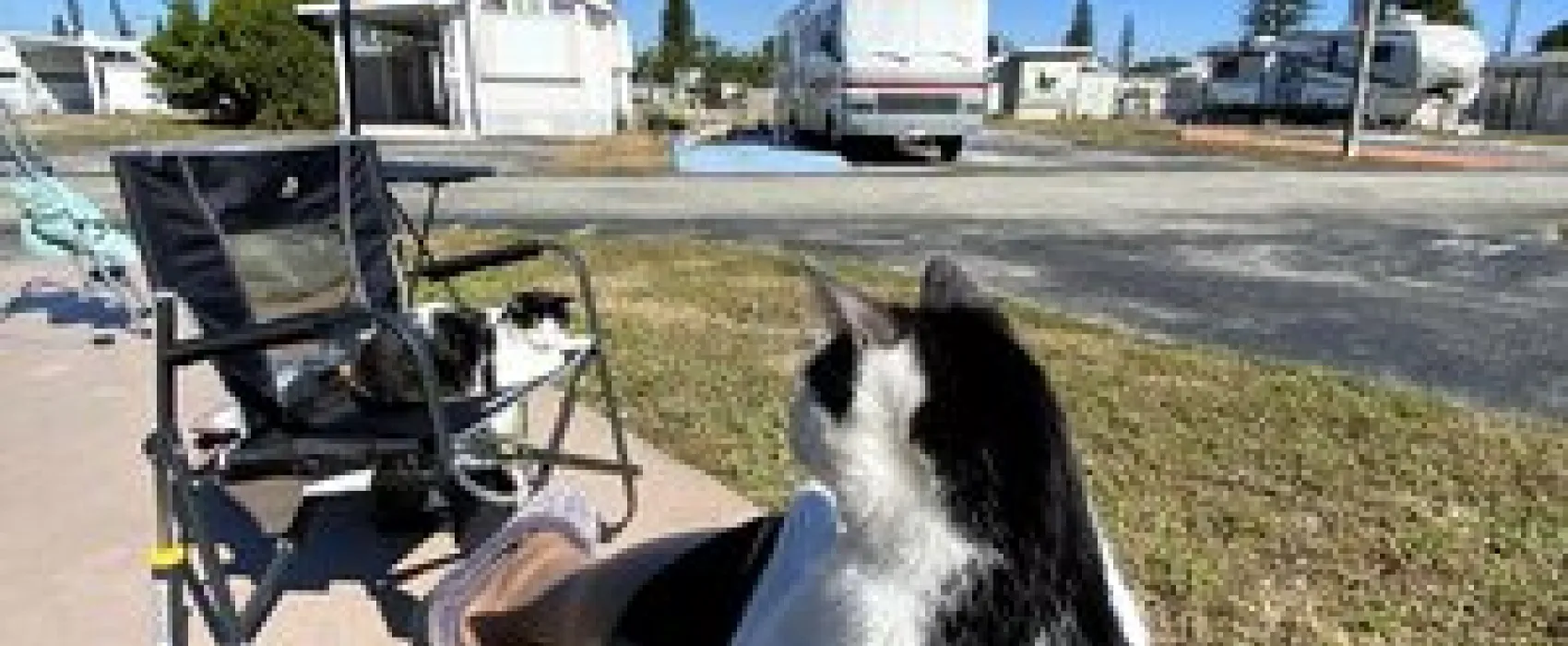 Encore Breezy Hill RV Resort