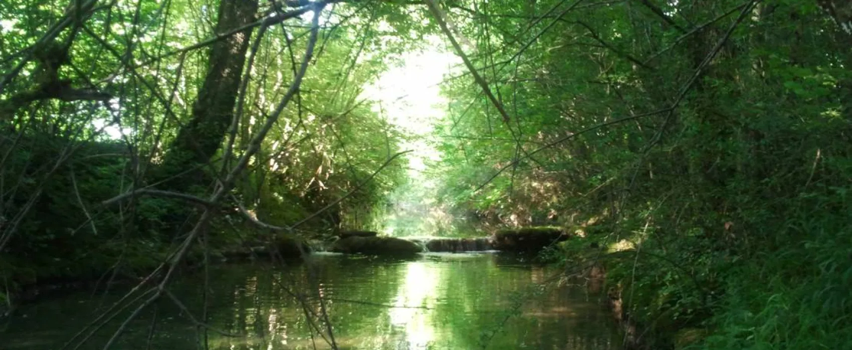 Camping les Rives du Céou