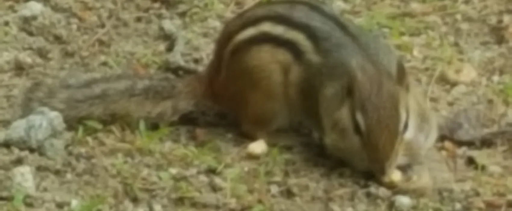 Vacationland Campground