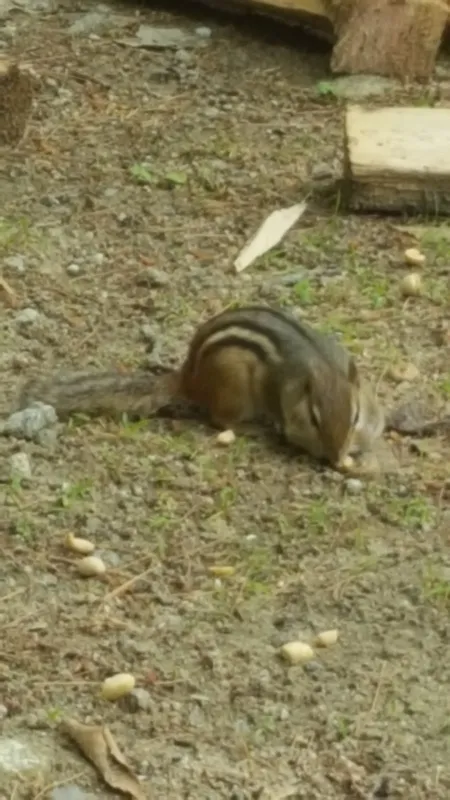 Vacationland Campground