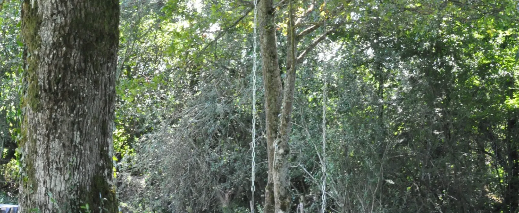 Minicamping Plessiere