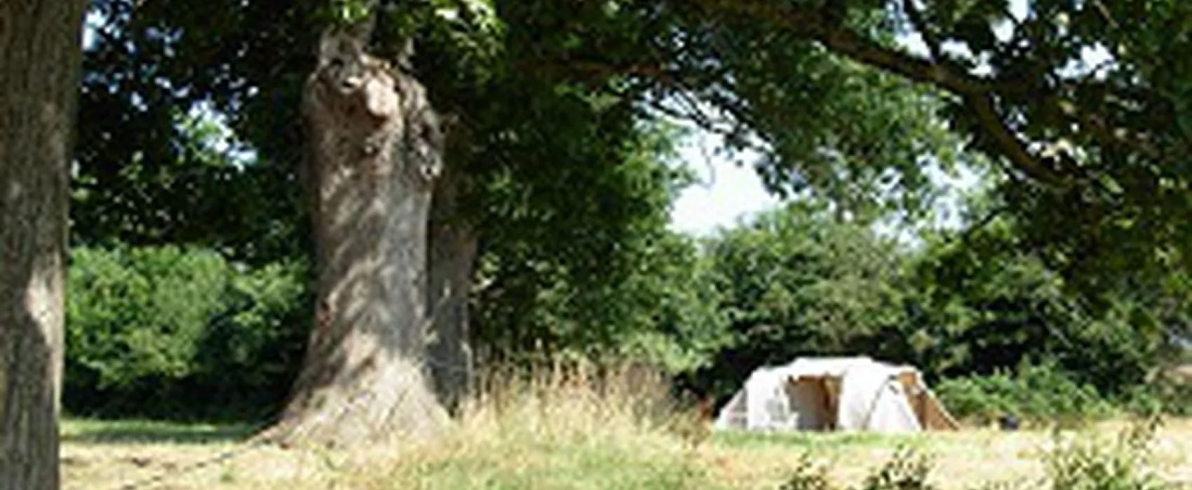 Minicamping Plessiere