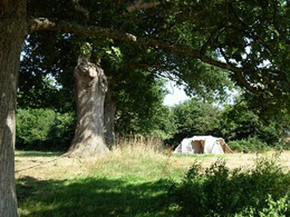 Minicamping Plessiere